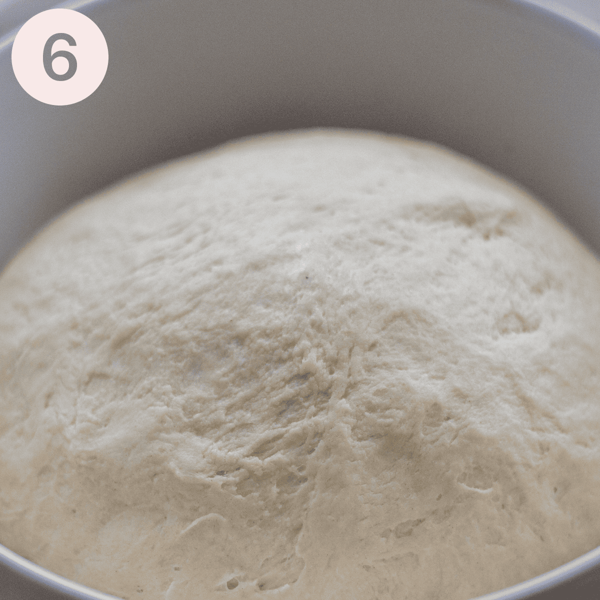 The risen dough, doubled in size.